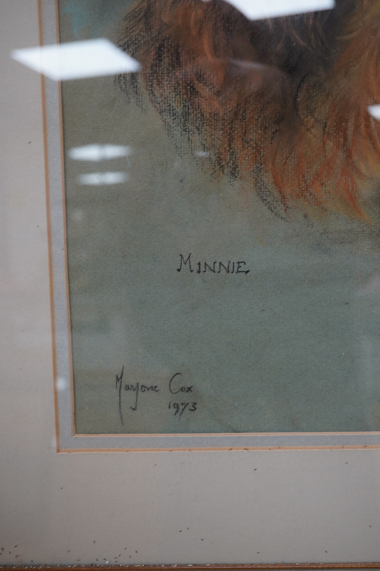 Marjorie Cox (1915-2003), pastel, Portrait of a Dachshund 'Minnie', signed and dated 1973, 42 x 36cm. Condition - fair